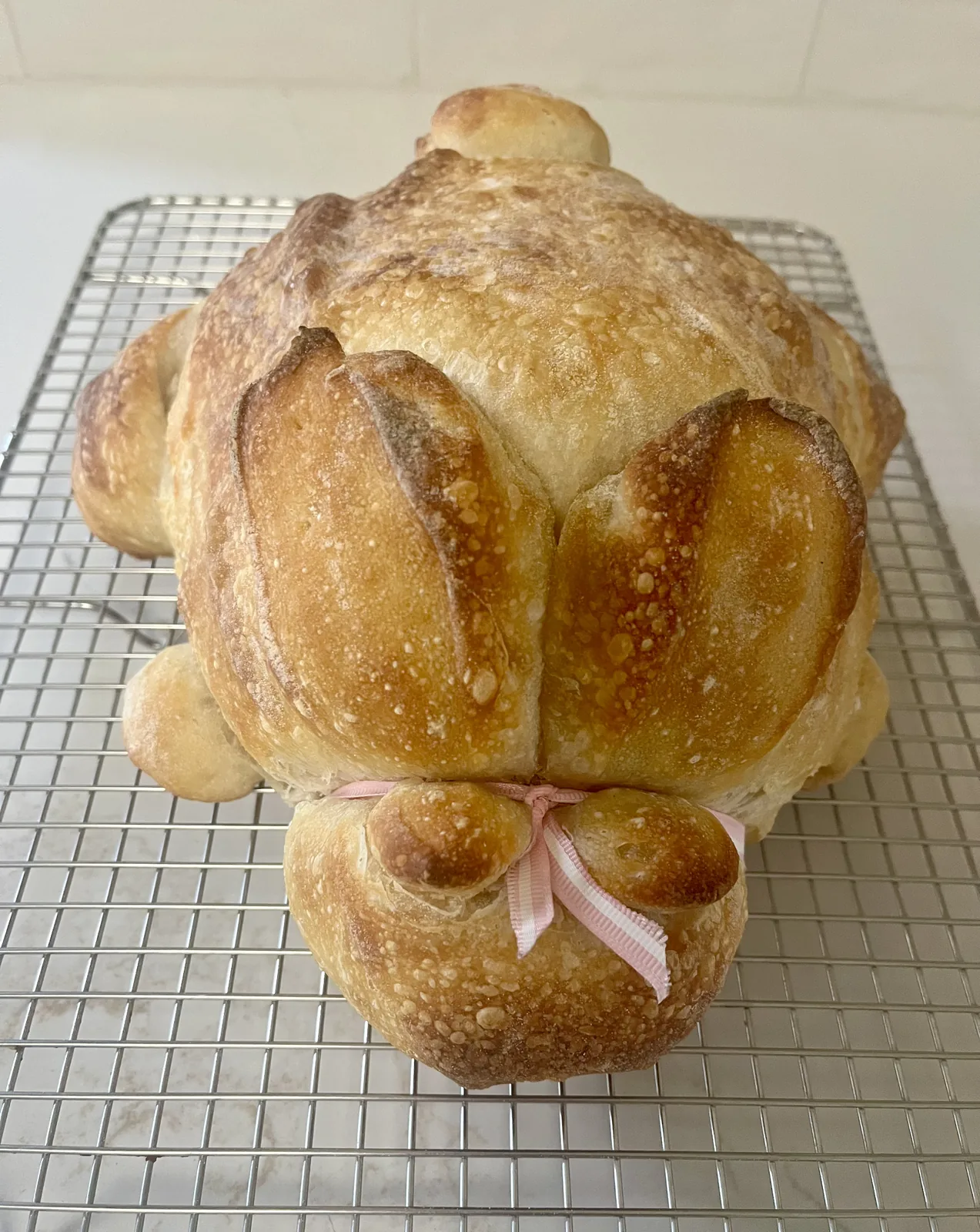 Bunny sourdough — photo 1